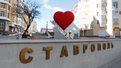Итоговый съезд волонтёров Ставрополья пройдёт 15 декабря