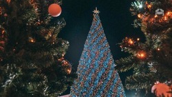 В Предгорном округе установят сразу 23 новогодние ёлки