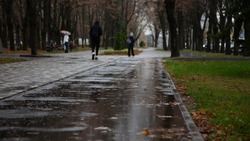 Ученикам Ставропольского края разрешили не ходить в школу во время сильного ветра