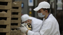 Продукция трех компаний Ставрополья вышла на всероссийский рынок