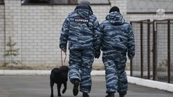 Информация о минировании рынка «Лира» в Предгорье оказалась ложной