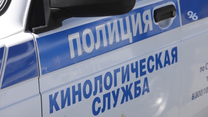 Граната времён Второй Мировой войны обнаружена в Предгорье