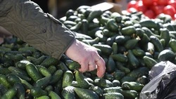 Ставропольские продукты привезут на ярмарку в ЛНР