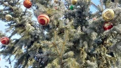 В Предгорном округе провели мастер-класс по изготовлению новогодних игрушек и украшений