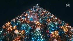 Десять новогодних ёлок появятся в Предгорье 
