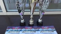 Ансамбль из Предгорного округа выиграл три золотые медали