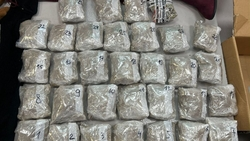 Пятигорчанин отправится в колонию за контрабанду канабиса из Сан-Франциско в Юцу