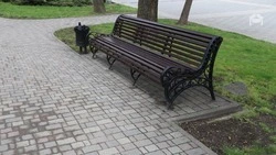 Голосование по национальному проекту продолжается в Предгорном округе