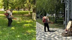 Территории Предгорья обрабатывают от клещей