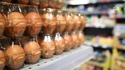 Самая низкая цена на куриные яйца в регионах СКФО оказалась на Ставрополье