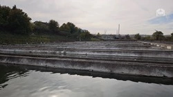 Форель стали выращивать на 30% больше в Предгорном округе