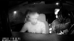 Пьяного водителя задержали автоинспекторы в Предгорье