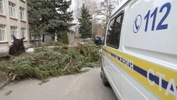 Гололёд и ветер ожидаются в Ставропольском крае 10 и 11 декабря