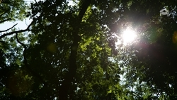 Грибник нашёл неизвестное устройство в окрестностях посёлка в Предгорном округе