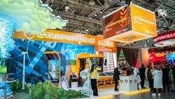 Глава Предгорного округа находится на выставке «Россия» в Москве