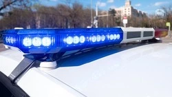 Водитель не оплатил штрафы на общую сумму 100 тыс. рублей в Предгорье