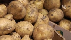 В Ставропольском крае уже собрали около 100 тысяч тонн картофеля