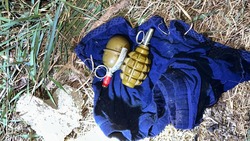 Две гранаты нашли в Предгорье  