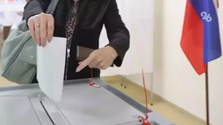 Выборы депутатов проходят в Предгорном округе Ставрополья