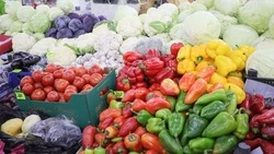 Окружную продовольственную ярмарку проведут в Предгорном округе