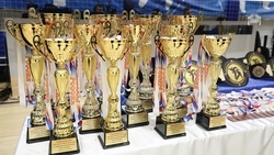 Спортсмены Предгорья завоевали три медали на всероссийских соревнованиях