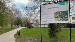 Строительство парка стартовало в станице Предгорного округа 