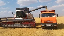 Уборка урожая зерновых стартовала на Ставрополье