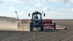 Весенняя посевная кампания стартовала в Предгорном округе