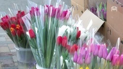 Женщин-водителей поздравили преддверии 8 Марта в Предгорье