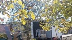Власти Предгорья призывают граждан сообщать о незаконных свалках
