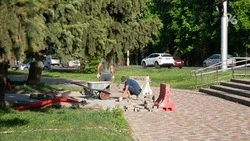 Новая парковая зона появится в Ясной Поляне благодаря федеральному проекту
