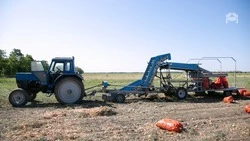 Новый аграрный нацпроект создаётся под руководством ставропольских экспертов 
