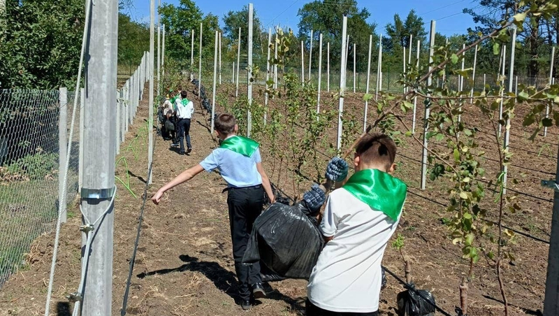 Шесть школьных садов заложили на Ставрополье