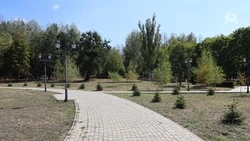 Благоустройство парка в Предгорье стало самым крупным объектом в 2023 году 