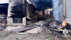 Пожар площадью 580 км² устранили в Предгорье 