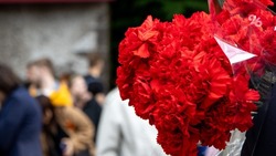 80 белых голубей выпустят в честь Дня Победы в Предгорном округе