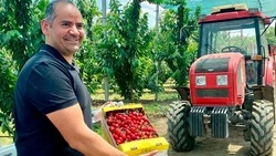 Предприниматели из Египта начали сотрудничать с товаропроизводителями Ставрополья 