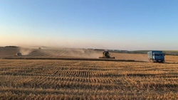 Сев озимых зерновых завершили в Предгорье на 60%