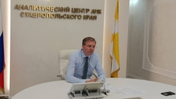 Урожай пропашных культур убирают на Ставрополье
