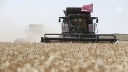 Аграрии Ставропольского края собрали 79,4% урожая 