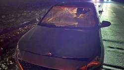 Мужчину насмерть сбили в Предгорном округе
