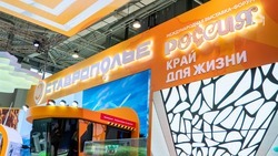 День промышленности проведут на выставке на ВДНХ в Москве