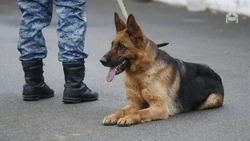 Информация о минировании здания администрации Предгорья не подтвердилась
