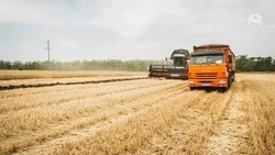 В Ставропольском крае приступили ко второму этапу уборочной кампании