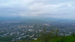 Ставропольцам напомнили о мерах защиты от клещей 