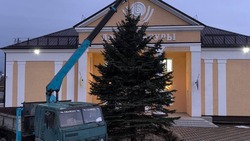 Новогоднюю ёлку установили возле Дома культуры Новоблагодарного