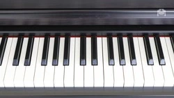 Новые инструменты получила музыкальная школа в Предгорье