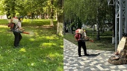 Территории Предгорья обрабатывают от клещей