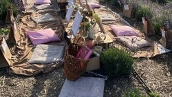 Лавандовый мёд попробуют гости экофермы в Предгорье на Ставрополье
