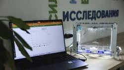 Интеллектуальную систему для «Умной теплицы» разработали на Ставрополье 